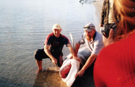 True Blue Fishing Charters - Accommodation Perth 1