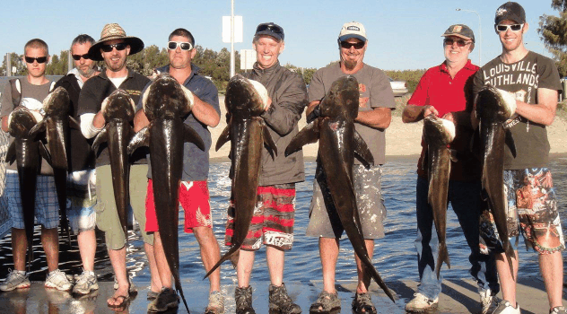 BKs Gold Coast Fishing Charters - Accommodation Perth 1