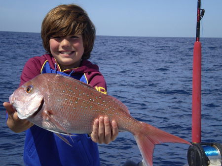 Mills Charters Fishing And Whale Watch Cruises - Accommodation Perth 4