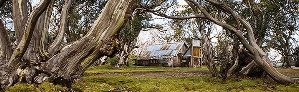 High Country Scenic Tours - Accommodation Perth