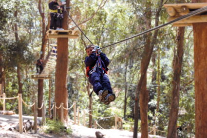 Currumbin Wildlife Sanctuary - Accommodation Perth 11