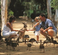 Billabong Sanctuary - Accommodation Perth