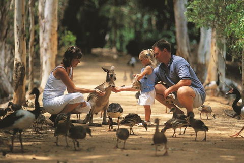 Billabong Sanctuary - Accommodation Perth 0