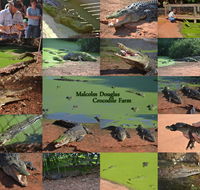 The Malcolm Douglas Crocodile Park - Accommodation Perth