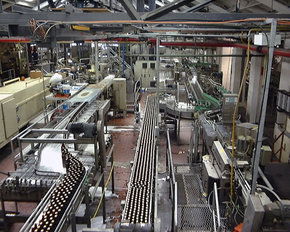Cascade Brewery Tour - Accommodation Perth 2