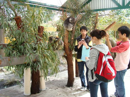 Caversham Wildlife Park - Accommodation Perth 4