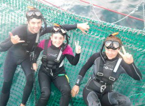 Dolphin Swim Australia - Accommodation Perth 7