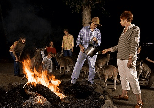 Cairns Night Zoo - Accommodation Perth