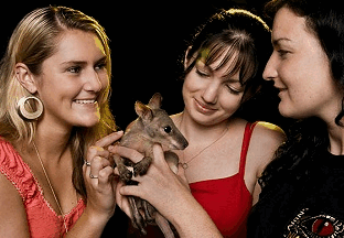 Cairns Night Zoo - Accommodation Perth 1
