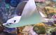 Melbourne Aquarium - thumb 4