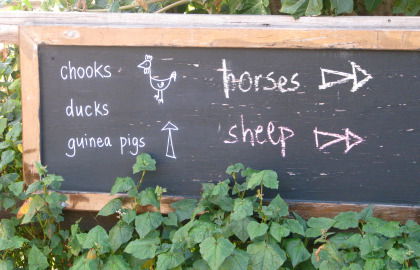 Collingwood Children's Farm - Accommodation Perth 4