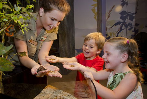 WILD LIFE Sydney Zoo - Accommodation Perth 1