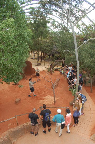 WILD LIFE Sydney Zoo - Accommodation Perth 2