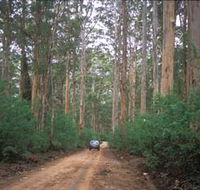 Boranup Drive - Accommodation Perth