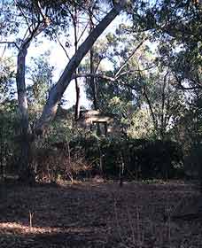 Ghost House Walk Trail, Yanchep National Park - Accommodation Perth 0