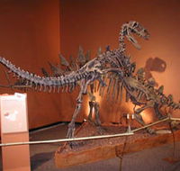 Denmark Dinosaur World - Accommodation Perth
