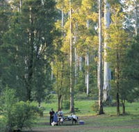 Big Brook Arboretum - Accommodation Perth