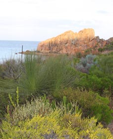 Meelup Trail - Accommodation Perth 0