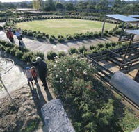 Kojonup Rose Maze - Accommodation Perth