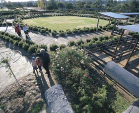 Kojonup Rose Maze - Accommodation Perth 0