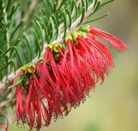 Ethel Daw Scenic Drive - Accommodation Perth