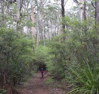 Margaret River Rails Trail - Accommodation Perth