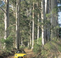 Scotsdale Tourist Drive - Accommodation Perth