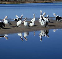 Peel Region Canoe Trails - Accommodation Perth