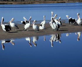 Peel Region Canoe Trails - Accommodation Perth 0