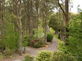 Mount Lofty Botanic Garden - Accommodation Perth 0
