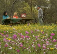 Gwambygine Park - Accommodation Perth