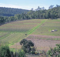 Darling Range - Accommodation Perth