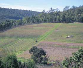 Darling Range - Accommodation Perth 0