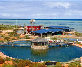 Shark Bay WA Accommodation Perth