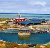 Ocean Park Aquarium - Accommodation Perth