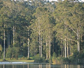 Big Brook Dam - Accommodation Perth 0