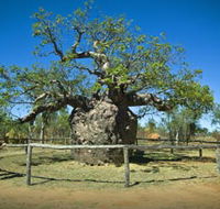 Pigeon Heritage Trail - Accommodation Perth