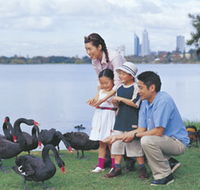 Lake Monger - Accommodation Perth