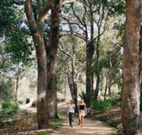 Law Trail and Lotterywest Federation Walkway Kings Park - Accommodation Perth
