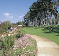 Kings Park Free Guided Walks - Accommodation Perth