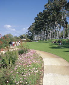 Kings Park Free Guided Walks