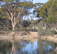 Merredin Railway Dam - Accommodation Perth