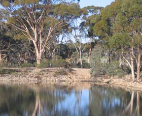 Merredin Railway Dam - Accommodation Perth 0