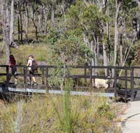Forest Path Crooked Brook - Accommodation Perth
