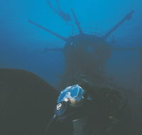 Swan Dive Wreck