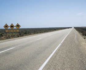Eyre Highway - Accommodation Perth 0