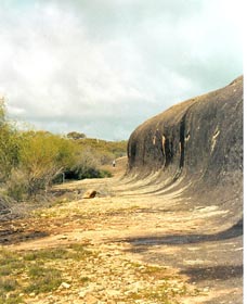 Totadgin Dam Reserve - Accommodation Perth 0