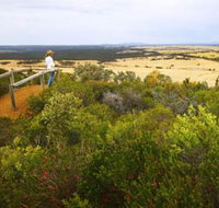 Archer Drive Scenic Drive and Lookout - Accommodation Perth