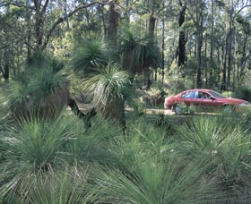 Bridgetown Jarrah Park - Accommodation Perth 0