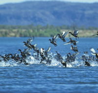 Ord River - Accommodation Perth